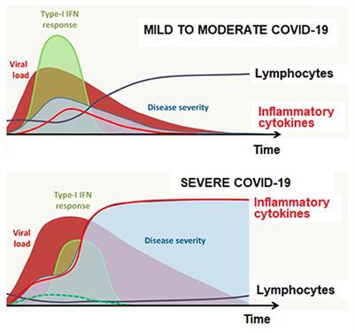 Expert-opinion-based guidance for the care of children with lysosomal storage diseases during the COVID-19 pandemic: An experience-based Turkey perspective